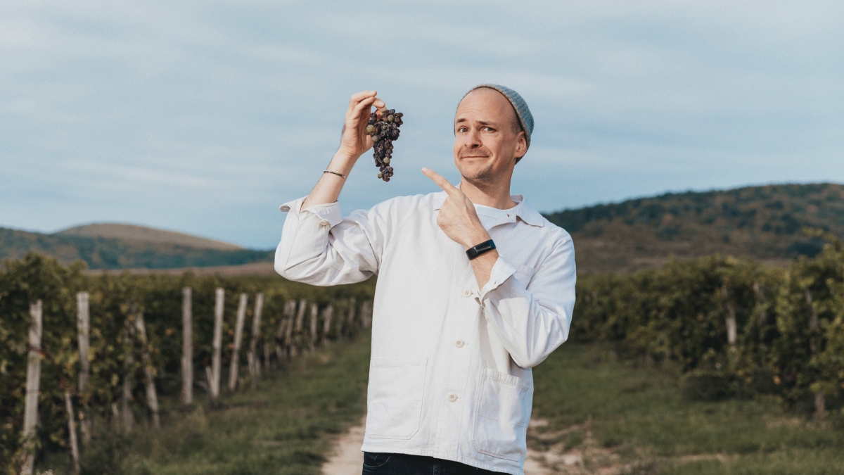 BAUM-my-top-three-wines