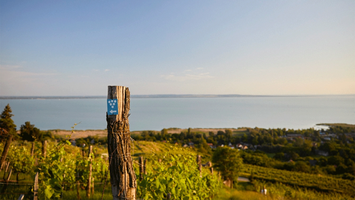 Beyond-summer-wines-Balaton