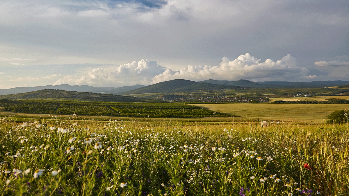 land-of-volcanoes-(2)